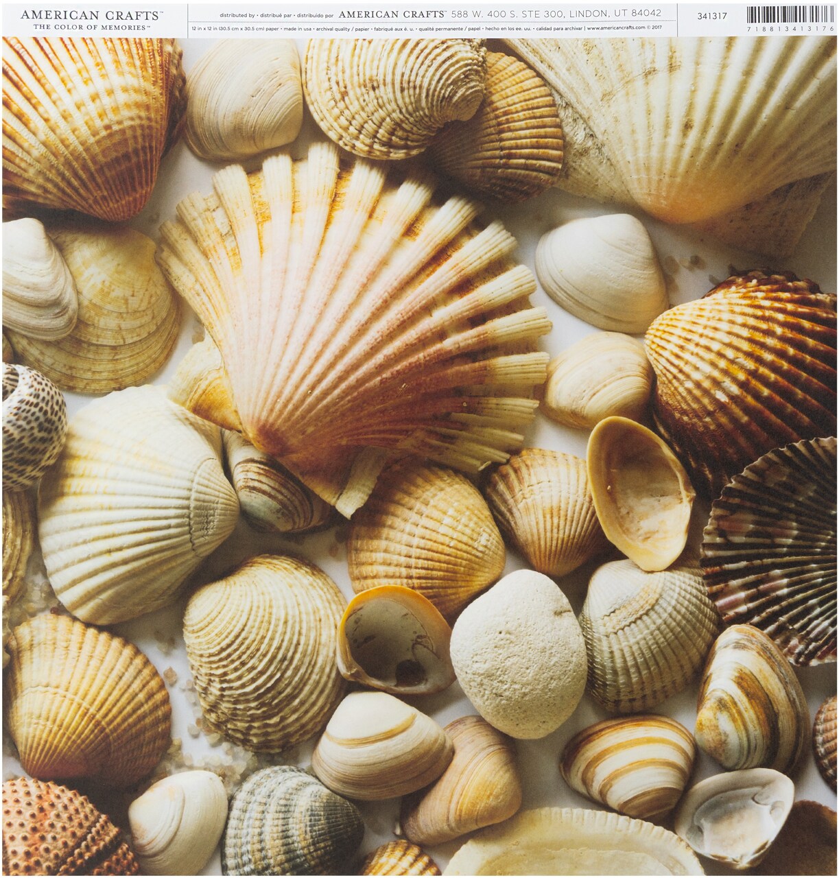 American Crafts Everyday Single-Sided Cardstock 12"X12"-Shells Print